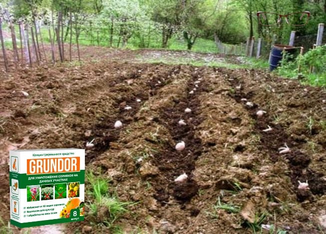 Преимущества Грундор