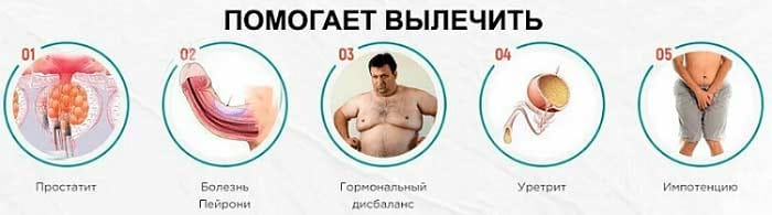 Ваши члены часть 14 Ваши члены часть 14